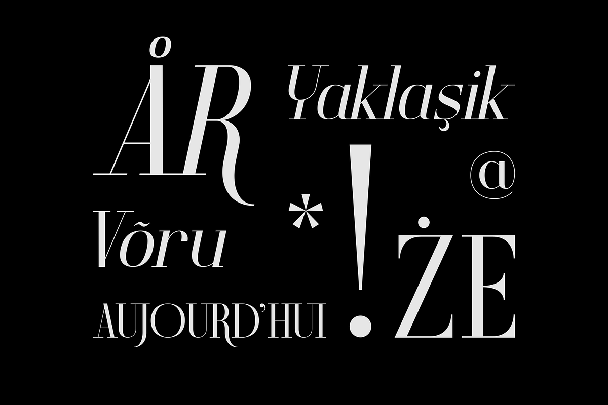 Valerio – Font Family, a Serif Font by Stefano Giliberti (Photo 10 of 10)
