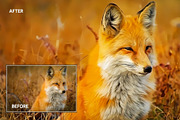 Real Oil Paint Photoshop Action, an Action Add-On by Effect-Hub (Thumbnail 11 of 15)