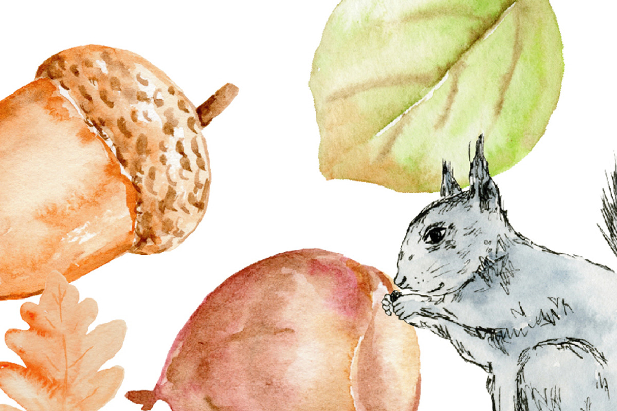Watercolor Clipart Autumn Woodland, an Illustration by Corner Croft (Photo 3 of 3)