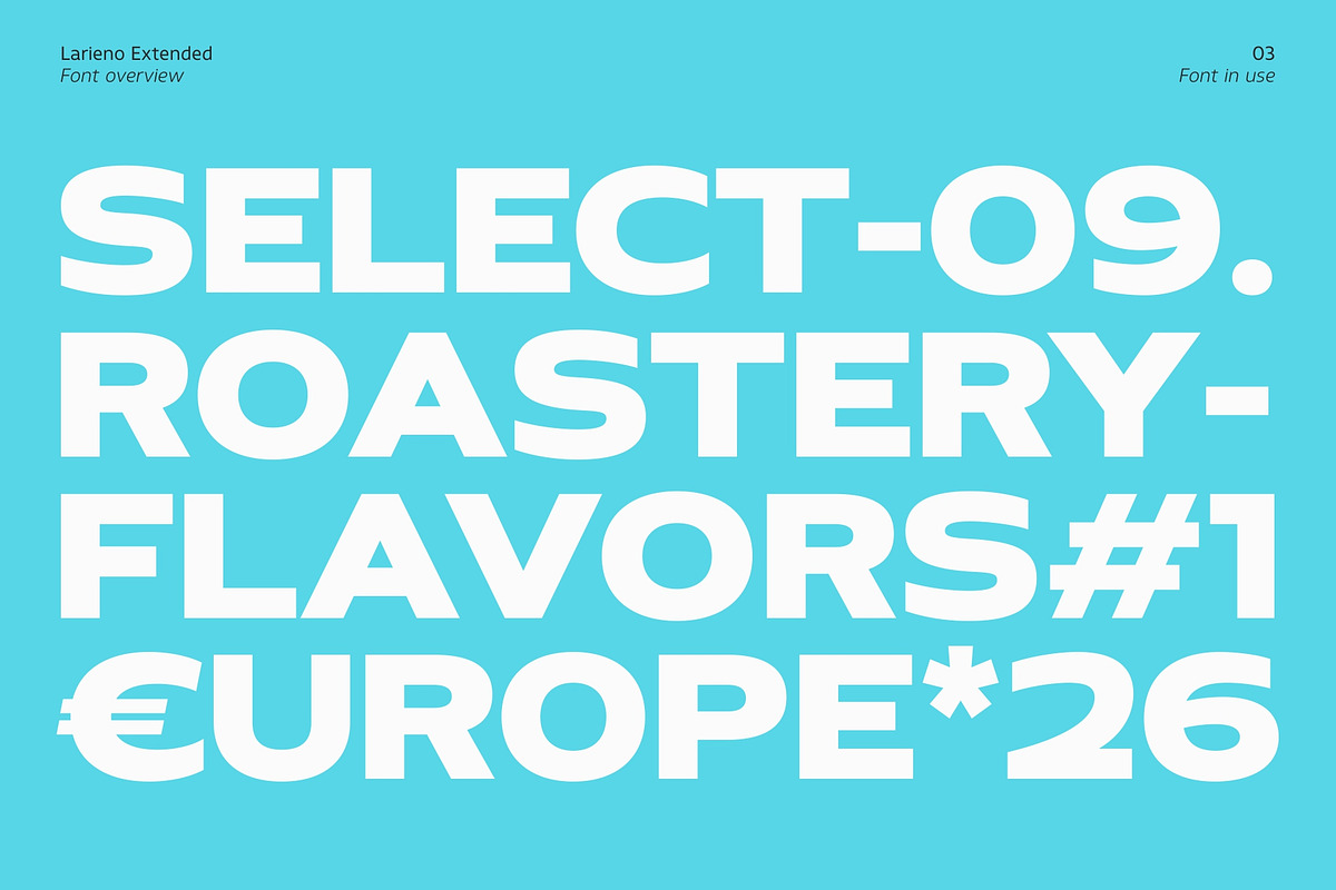 Larieno Extended, a Sans Serif Font by Zafara Studios (Photo 3 of 12)
