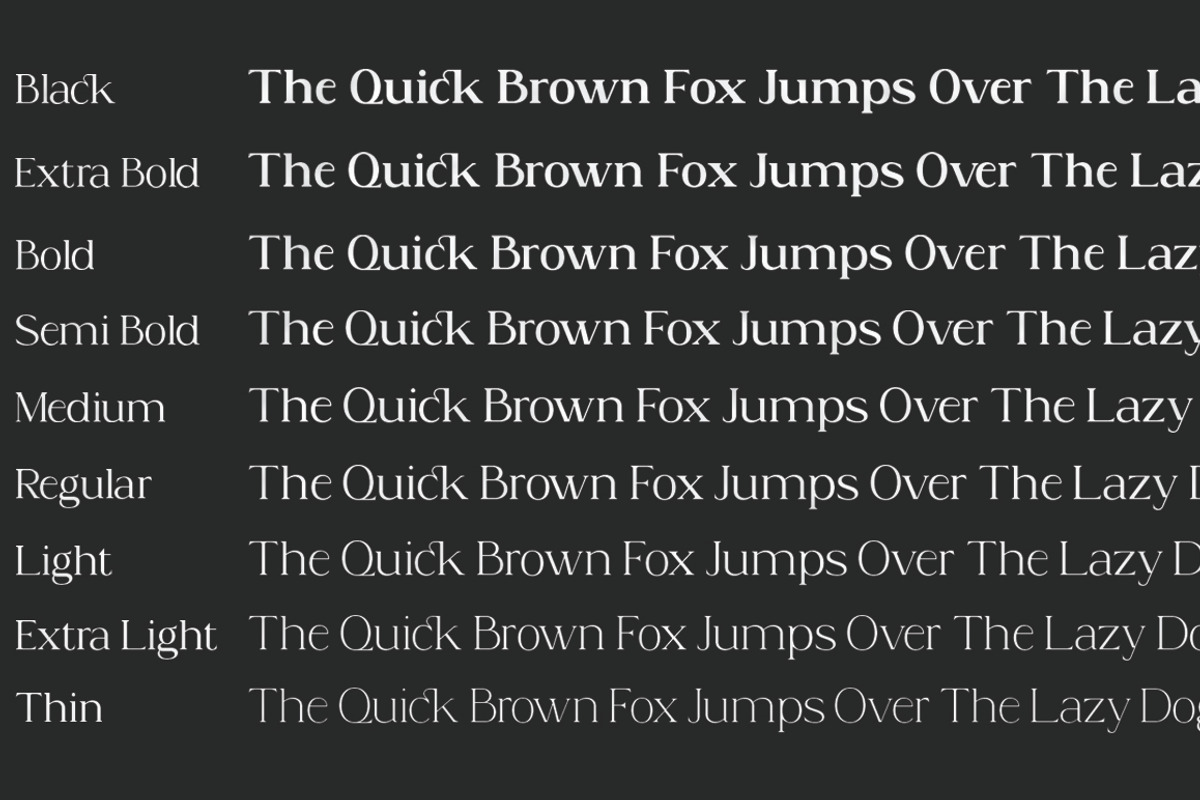 Acosta - Serif Font Family, a Serif Font by Zane Studio (Photo 7 of 11)