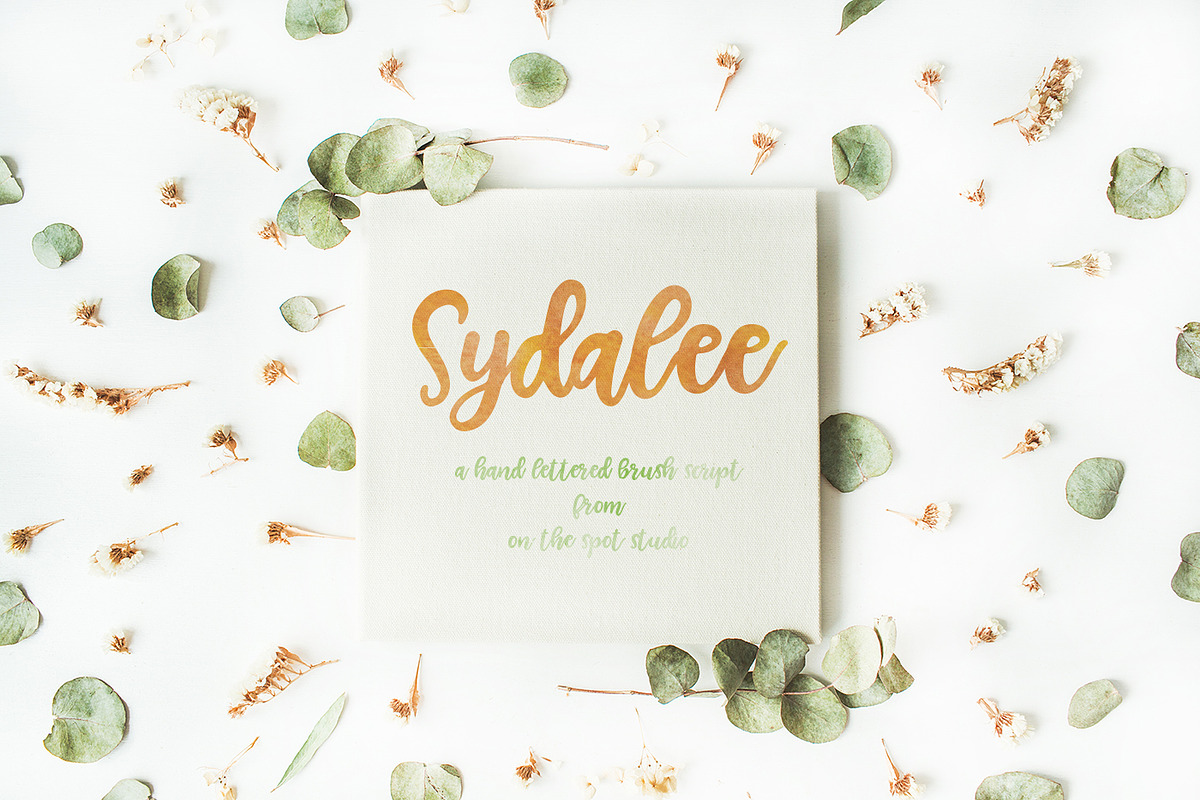 Sydalee preview 2