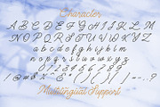 The Gallery - Monoline Script Font, a Script Font by StringLabs (Thumbnail 7 of 8)