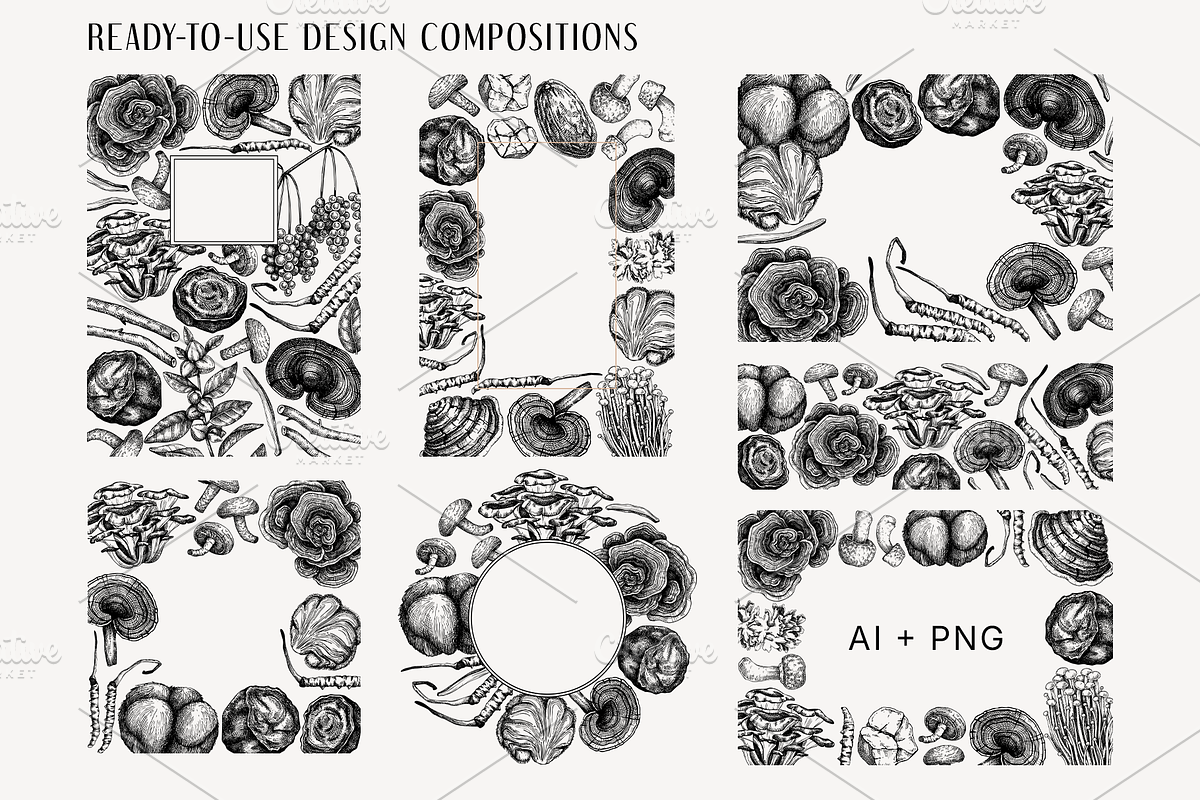 Medicinal Mushrooms & Plants Set, a Healthcare Illustration by Yevheniia (Photo 6 of 12)
