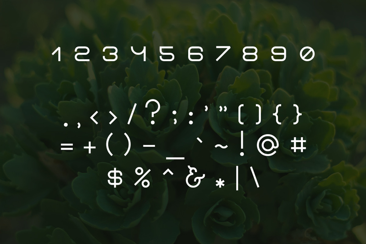Flawourite serif typeface preview 3