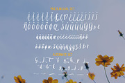 Asther – Stylish Handwritten Font, a Script Font by Graphiqa Studio (Thumbnail 10 of 11)