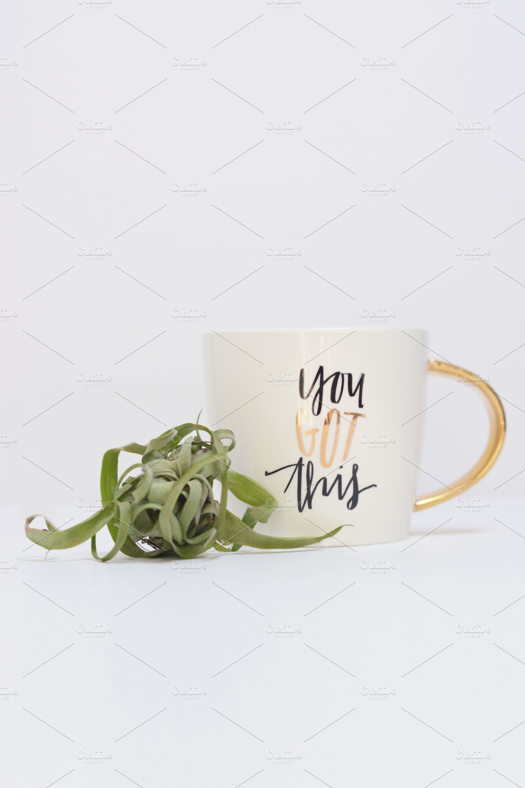 You Got This Mug with Airplant, a Beauty & Fashion Photo by Stitch & Shutter Stock