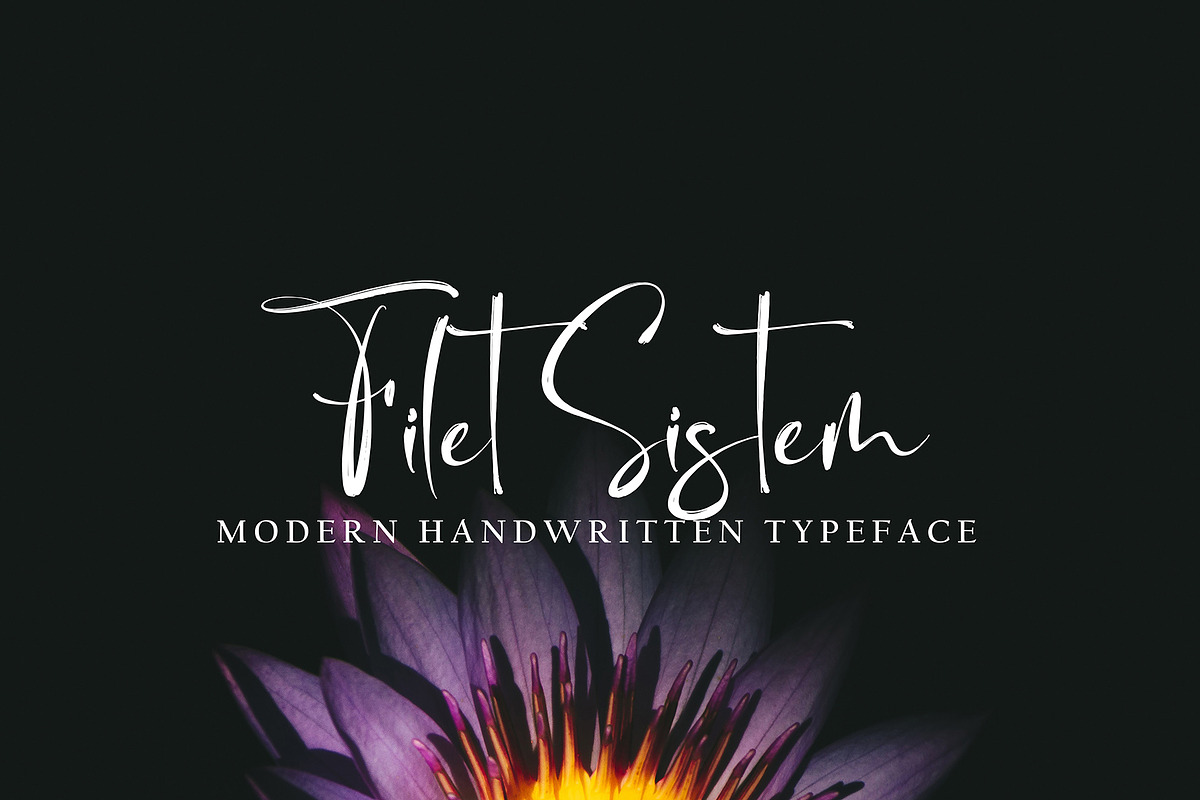 Bird Ruth, a Handwritten Font by pineungtype (Photo 5 of 6)