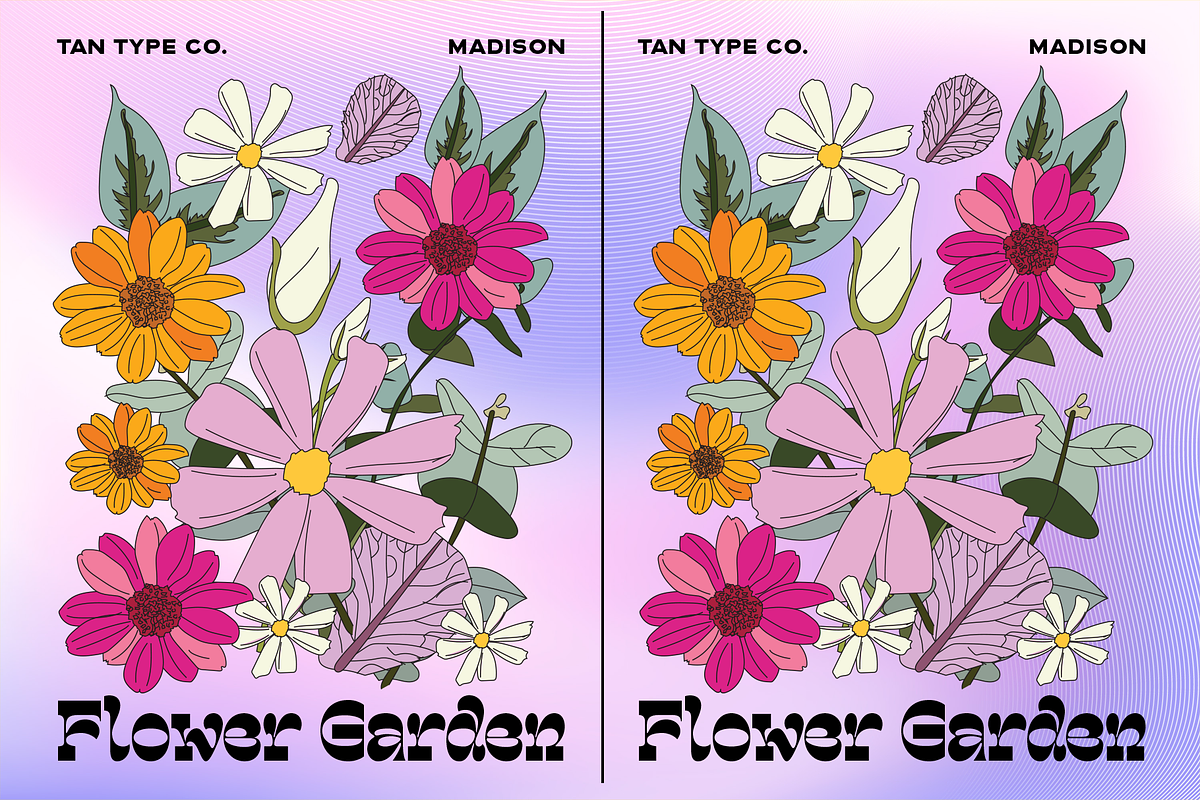 TAN - MADISON, a Font by TanType (Photo 9 of 10)