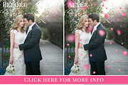 Rose Garden - pink petals overlay, an Object Graphic by BrownLeopard (Thumbnail 2 of 5)