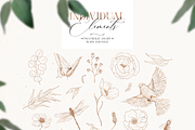 Flower field - line art floral set, a Decorative Illustration by Pamyatka Shop (Thumbnail 11 of 11)