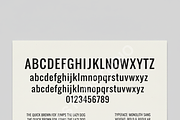 Havowe | Elegant Serif for Luxury Br, a Font by Astuti Studio (Thumbnail 2 of 16)