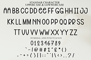 Spring Morning, a Serif Font by FreshTypeINK (Thumbnail 5 of 7)
