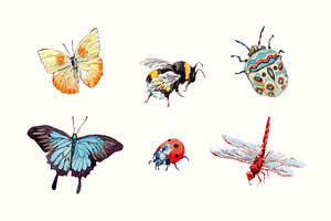 Watercolor Different Insects Set