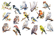 Watercolor winter, holiday christmas, an Object Graphic by KomtsyanTatyanaArt (Thumbnail 3 of 6)