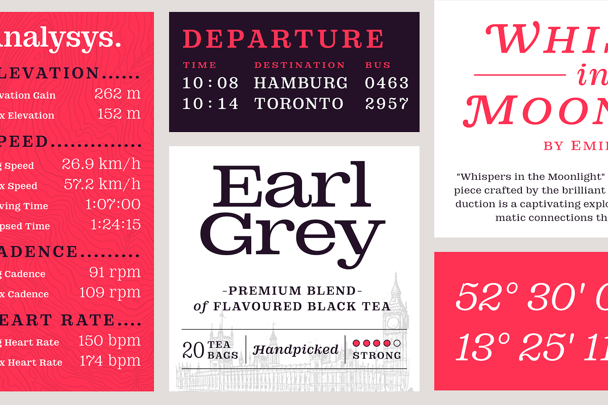 DT Augustina Slab 5 Subfamily, a Slab Serif Font by Deveze Type Foundry (Photo 24 of 31)