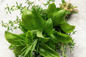 Freshly picked herbs with scissors and twine on kitchen table, a Food & Drink Photo by Olena Rudo