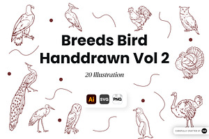 Breeds Bird Hand-Drawn Vol. 2, an Animal Illustration by SLAB! Design