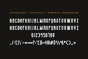 Royoga - Elegant Serif & Yoga Font, a Serif Font by QR Design Studio (Thumbnail 7 of 9)