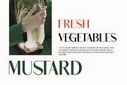 Shaqera Ligature Sans-Serif, a Sans Serif Font by Font Kingdom (Thumbnail 3 of 4)