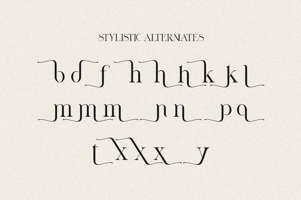 Nicholas // A Modern Display Font, a Serif Font by RockboyStd (Photo 11 of 12)