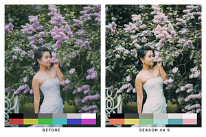 50 Spring Lightroom Presets And LUTs