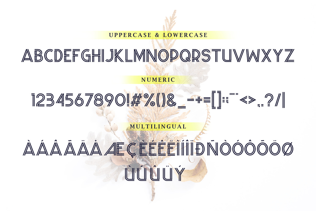 Wander Brave Modern Typeface, a Sans Serif Font by Heinzel Std (Photo 6 of 8)