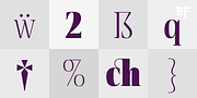 BF Rotwang Pro, a Serif Font by BrassFonts (Thumbnail 7 of 15)