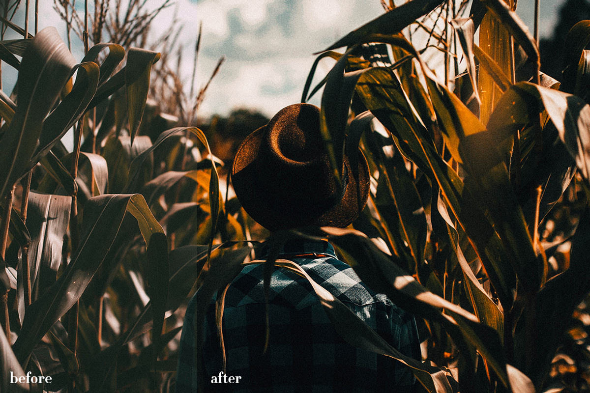 Editorial v2 Lightroom Collection, an Action Add-On by Preset Works (Photo 2 of 4)