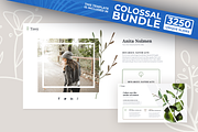 Tiasy Powerpoint Template, a Presentation Template by Reshapely (Thumbnail 1 of 7)