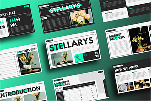 STELLARYS - Brand Proposal