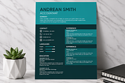 MODERN RESUME TEMPLATE (R8), a Resume Template by dulchaer29 (Thumbnail 3 of 4)