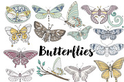 Vector Graphics Bundle, an Animal Illustration by Carrie Stephens Art (Thumbnail 2 of 43)
