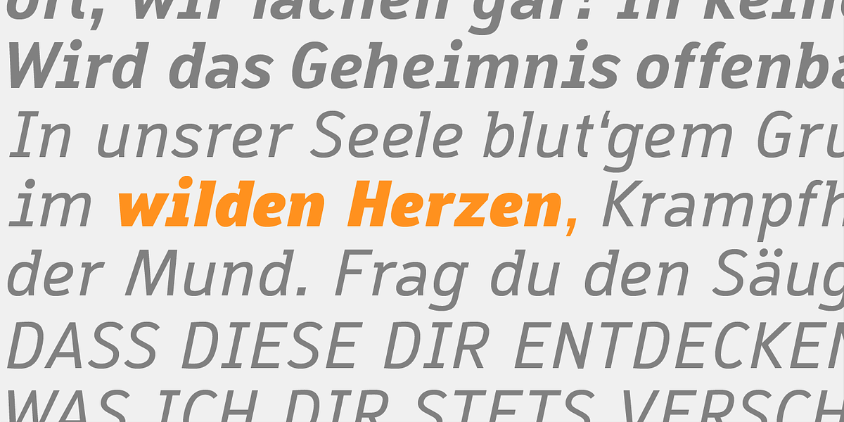 Macella, a Sans Serif Font by VivalaType (Photo 6 of 7)