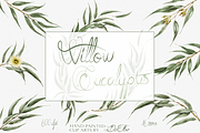 Willow Eucalyptus Illustration, a Decorative Illustration by DioFlow (Thumbnail 1 of 5)