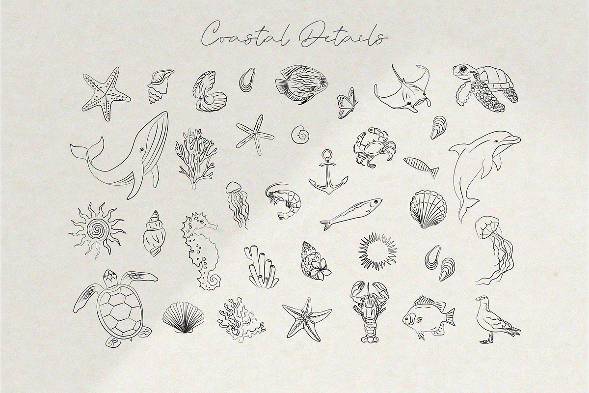 Line Beach Vibes – Summer Clipart, a Decorative Illustration by La Petite Line Art (Photo 6 of 13)