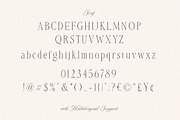 Royal Fortune Luxury Font Duo, a Serif Font by Letterhend Studio (Thumbnail 9 of 9)
