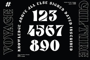 VOYAGE - CULTURE DISC 50% OFF, a Sans Serif Font by Anxiety Studio (Thumbnail 6 of 10)