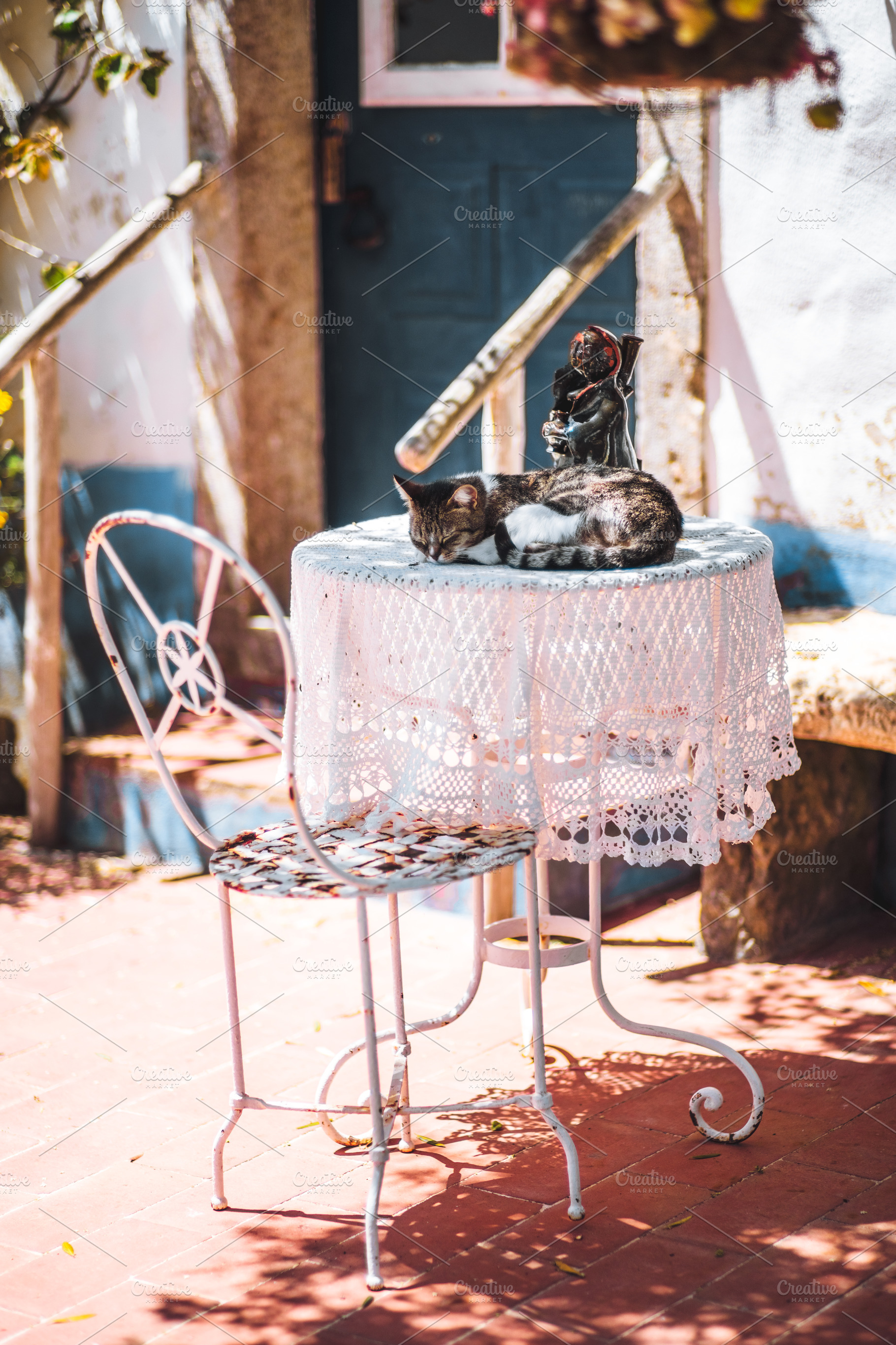 Cat sleeping on vintage table, an Animal Photo by SkyNext
