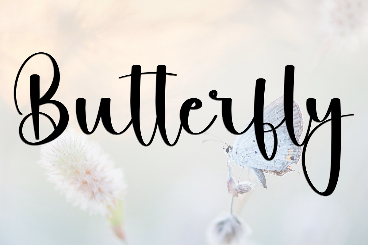 Solitude Writing, a Handwritten Font by FreshTypeINK (Photo 7 of 11)
