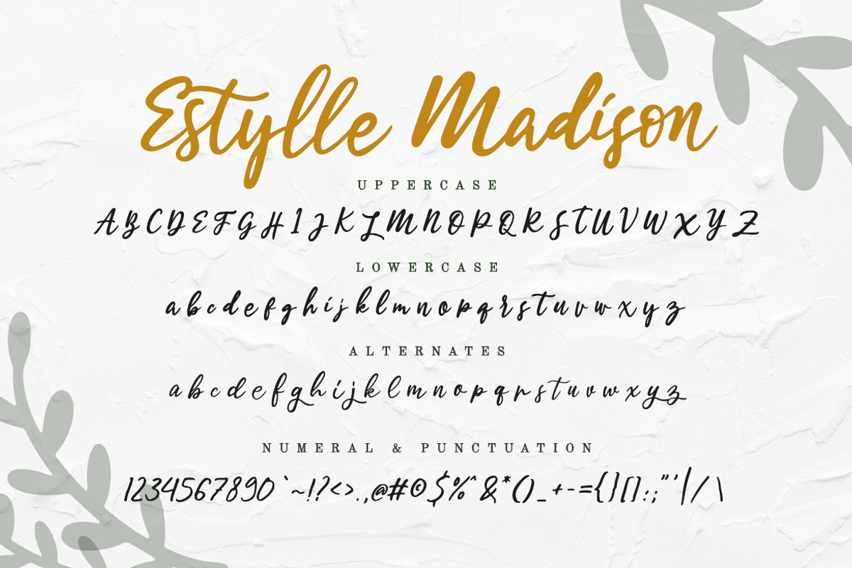 Estylle Madison Business Font, a Script Font by Creatype Studio (Photo 12 of 16)