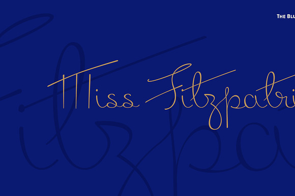 Miss Fitzpatrick Pro preview 7