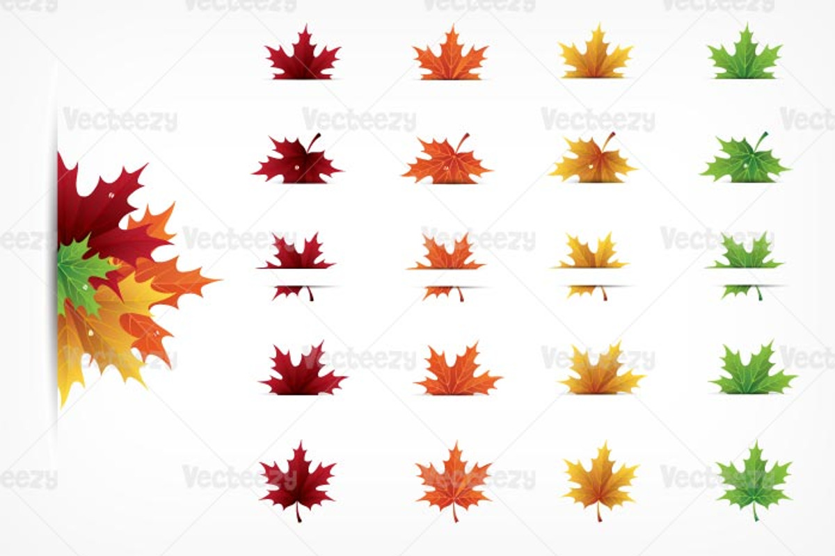 Autumn Maple Leaves Vector Pack, a Seasonal Illustration by EezyPremium