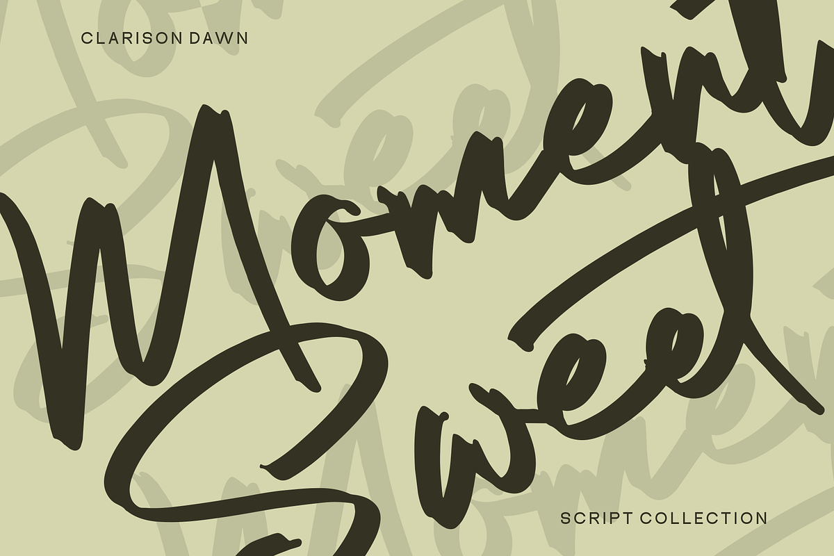 Clarison Dawn - Brush Script, a Script Font by Marvadesign (Photo 4 of 8)