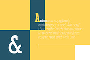 Anicon Slab, a Slab Serif Font by NREY (Thumbnail 3 of 9)