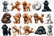 Poodle Clipart Bundle, an Animal Illustration by Bijou Bay (Thumbnail 2 of 4)