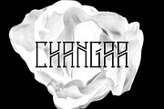 Changaa - font, a Sans Serif Font by David is Creative (Thumbnail 1 of 4)