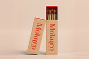 Asteris, a Serif Font by din-studio.com (Thumbnail 2 of 11)