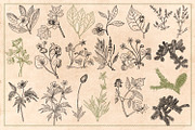 100 Vintage Leaves & Branches 2, an Illustration by Brigantine Designs (Thumbnail 6 of 8)