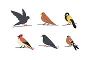 Different birds sitting on wires set, an Animal Illustration by Good Studio (Thumbnail 4 of 5)